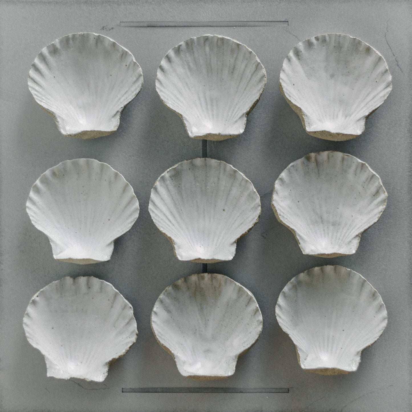 Shell Dish
