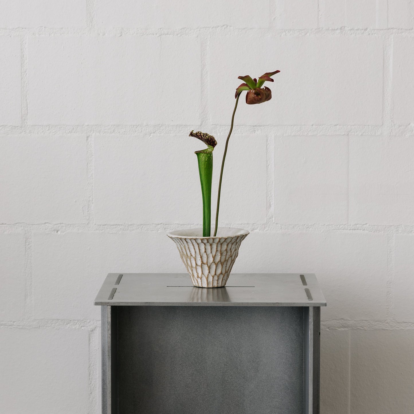 Ren bowl - stone/white